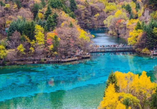 11月去哪里旅游最好