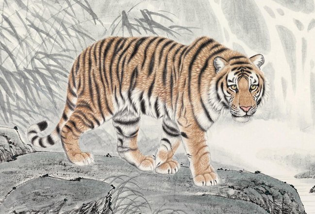 星火灿烂是什么肖