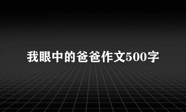 我眼中的爸爸作文500字