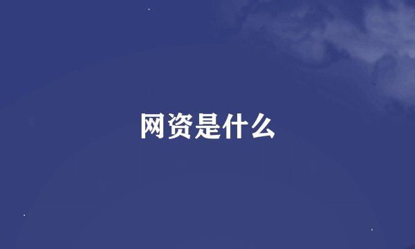 网资是什么