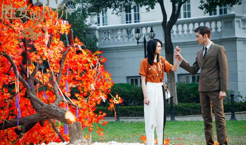 张翰主演电视剧