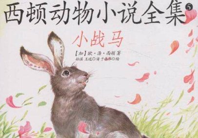 小战马的简介内容