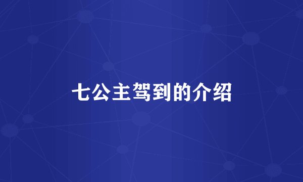 七公主驾到的介绍