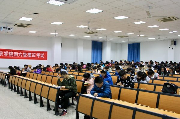 四级英语成绩证书怎么下载啊?