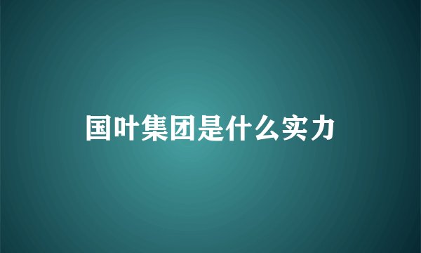 国叶集团是什么实力