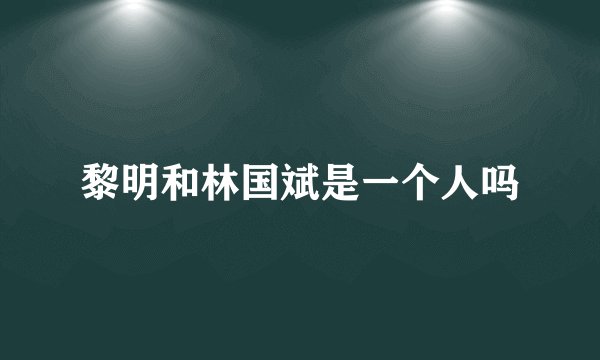 黎明和林国斌是一个人吗
