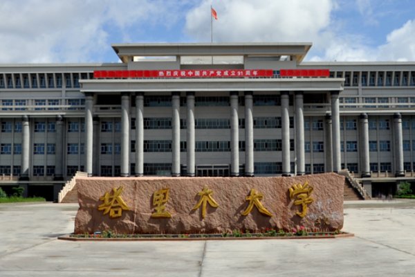 最热的大学最冷门的语言