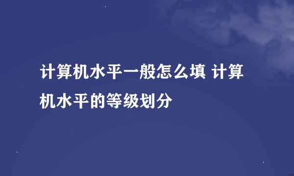 计算机水平一般怎么填 计算机水平的等级划分