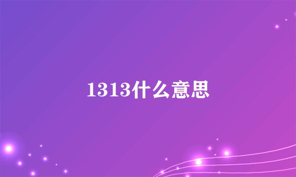 1313什么意思