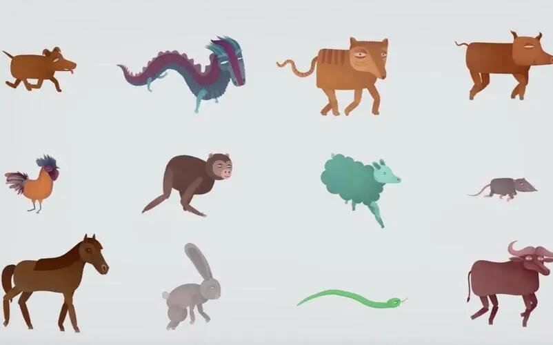 光说不练正确生肖