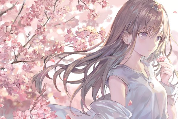 樱花动漫官方正版入口是什么