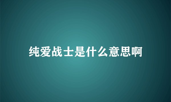 纯爱战士是什么意思啊