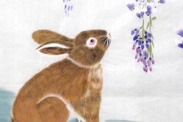 红袖添香打一个生肖