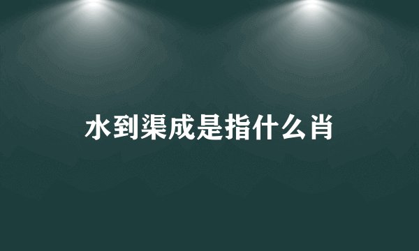 水到渠成是指什么肖
