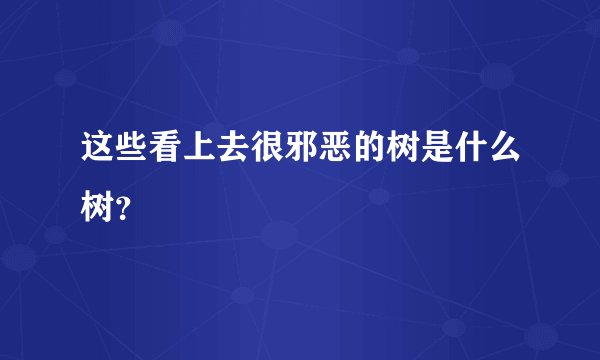 这些看上去很邪恶的树是什么树？