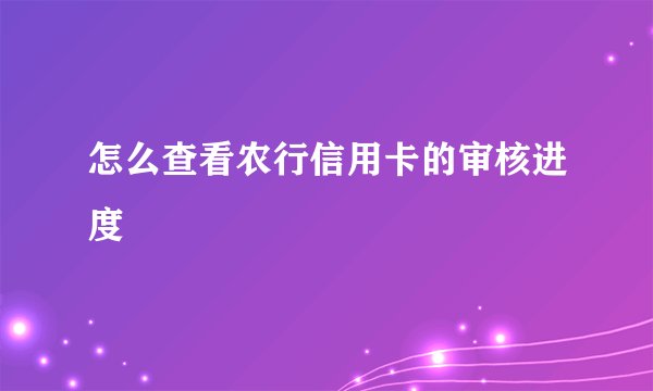 怎么查看农行信用卡的审核进度