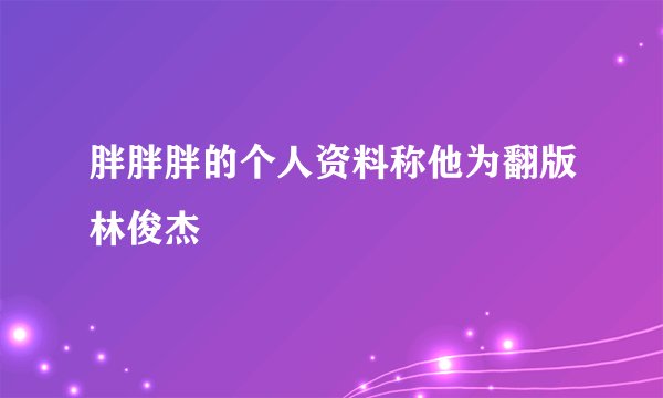 胖胖胖的个人资料称他为翻版林俊杰