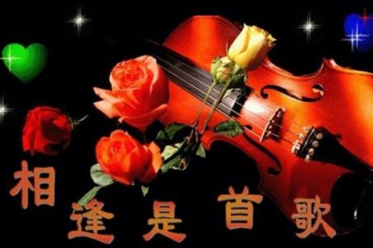 阅读《相逢是首歌》里为什么说‘相逢是首歌’( )