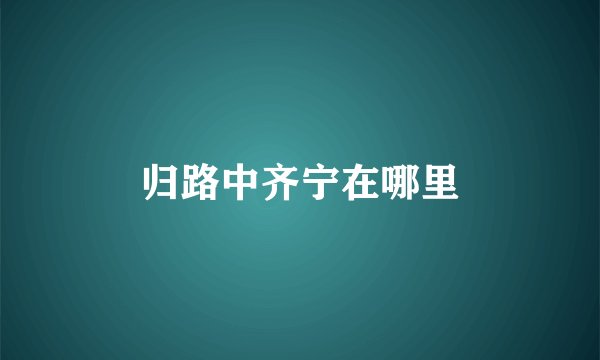 归路中齐宁在哪里