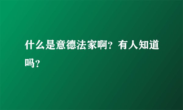 什么是意德法家啊？有人知道吗？