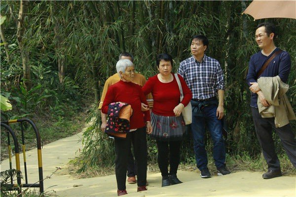 黄花紫菊傍篱落摘菊泛酒爱芳新是什么节日