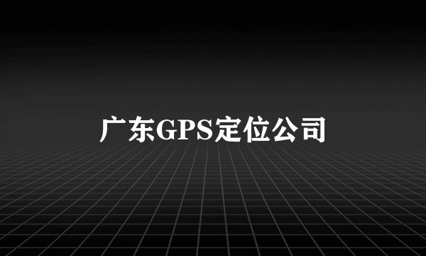 广东GPS定位公司