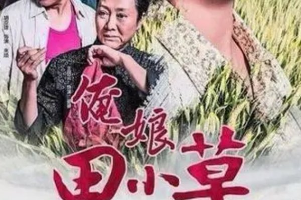 王丽云演过的电视剧