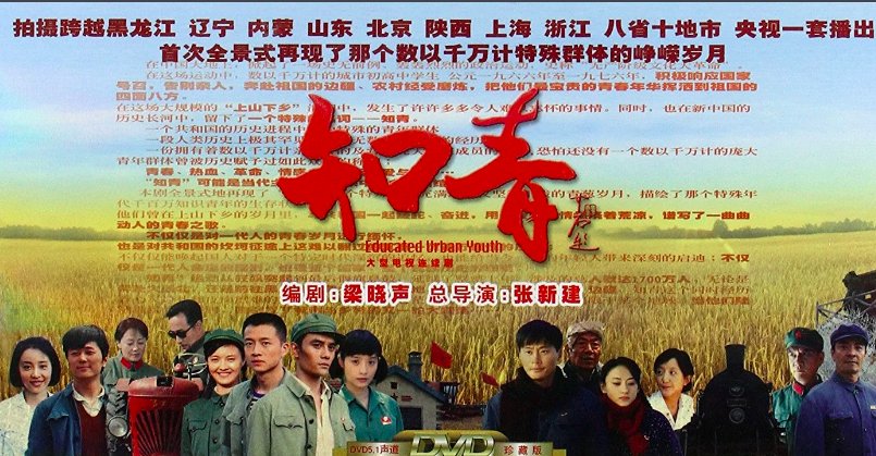 知青爱人分集介绍大结局