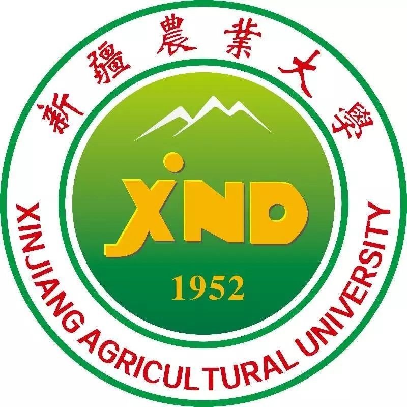 新疆农业大学在哪个位置
