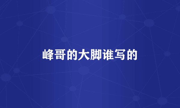 峰哥的大脚谁写的