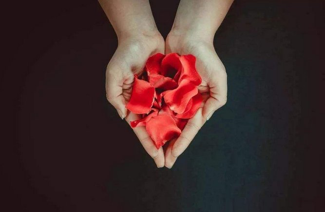 浅尝辄止的爱情的解释是什么？