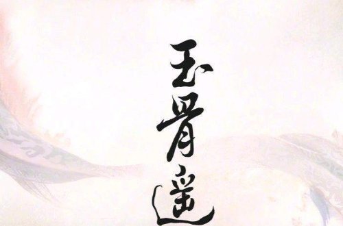 陈紫函演的电视剧有哪些