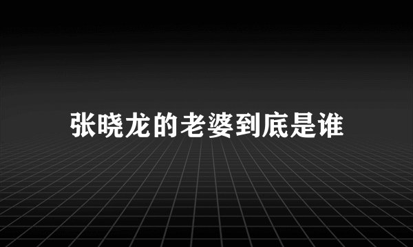 张晓龙的老婆到底是谁
