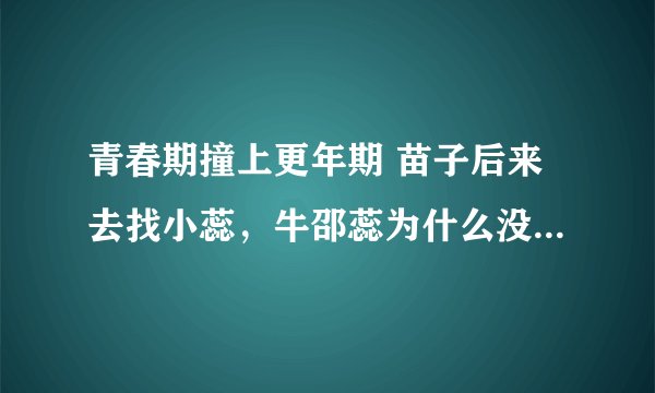 青春期撞上更年期 苗子后来去找小蕊，牛邵蕊为什么没跟苗子一起