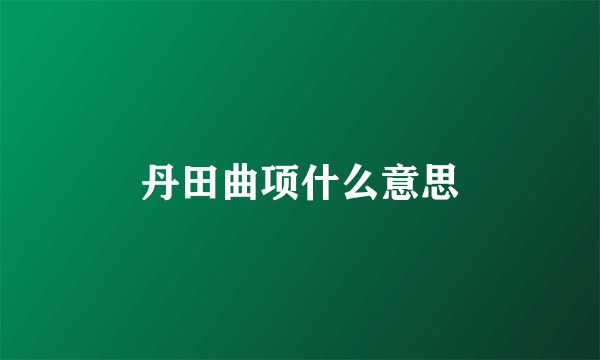 丹田曲项什么意思