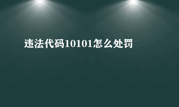 违法代码10101怎么处罚