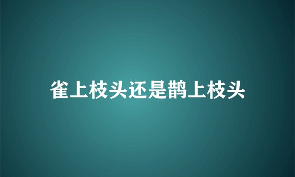 雀上枝头还是鹊上枝头