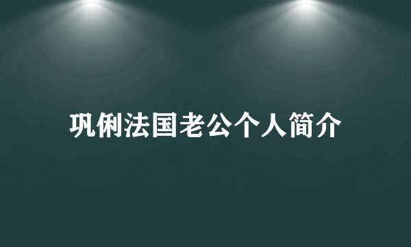 巩俐法国老公个人简介