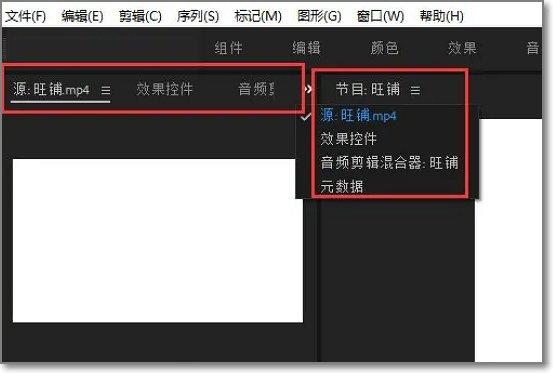 pr九尾狐正能量版软件怎么用？