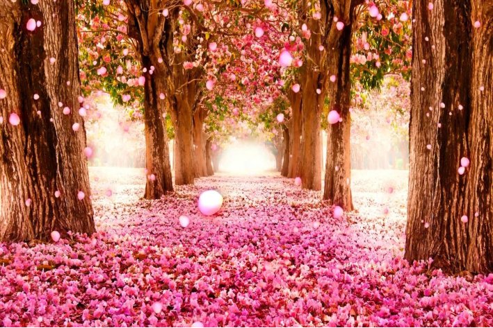 繁花落尽意思是什么