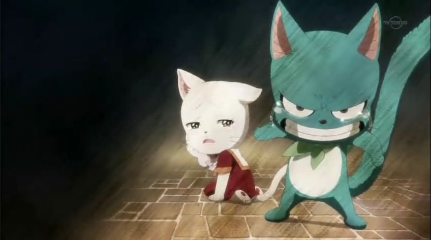 妖精的尾巴73最后一个画面 哈比保护夏露露的那个画面最好是原版的带背景的当然720P一下的就算了