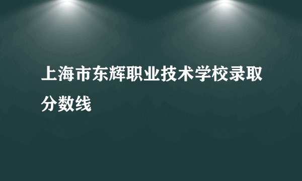 上海市东辉职业技术学校录取分数线
