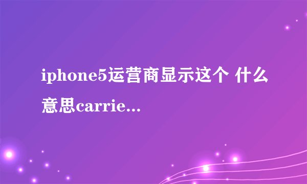 iphone5运营商显示这个 什么意思carrier lab 19.0
