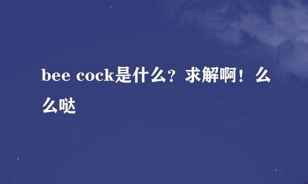 bee cock是什么？求解啊！么么哒