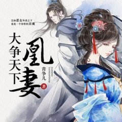 大争天下：凰妻的人物介绍