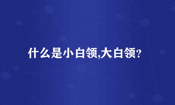 什么是小白领,大白领？
