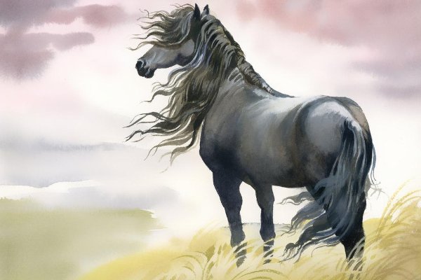 春蛙秋蝉打一准确生肖