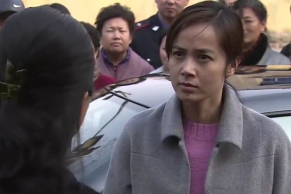 蒋雯丽演的电视剧都有哪些