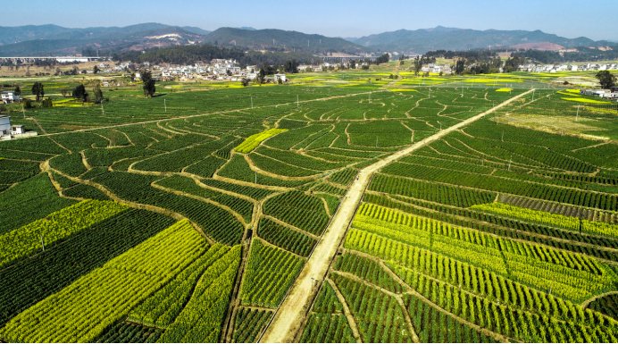 七横八竖打一字 正确答案