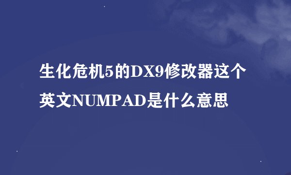 生化危机5的DX9修改器这个英文NUMPAD是什么意思